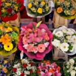 Wild & Wonderful: Where Melbourne Gets Its Flowers