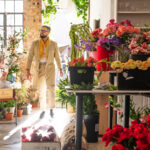 Finding Unique and Fresh Flowers in Cammeray