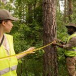 Tree Removal North Sydney: Choosing the Right Company