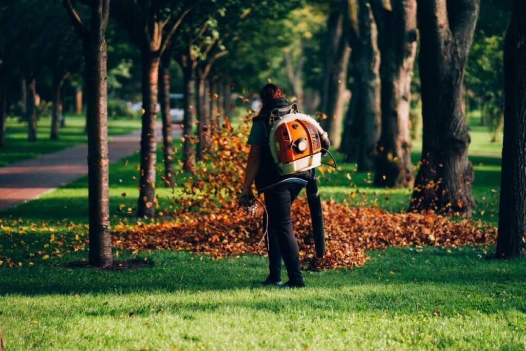 Arborist Reports Sydney