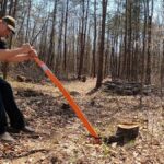 Why Stump Grinding is the Safest Way to Clear Your Yard After Tree Removal