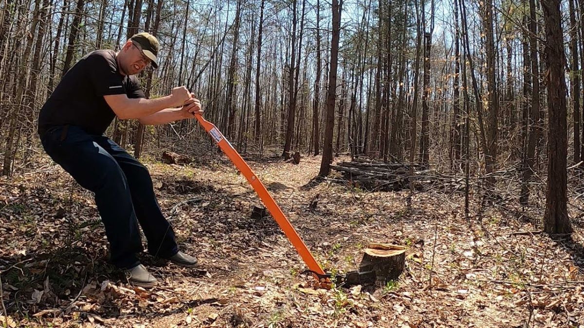 stump removal near me