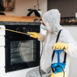 How to Choose Between Pest Control Companies Sydney