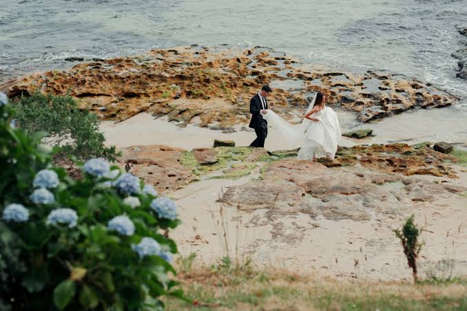 Florist Manly: Choose Flowers for a Coastal Setting