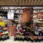 Florist Neutral Bay: Find Flowers That Suit the Occasion